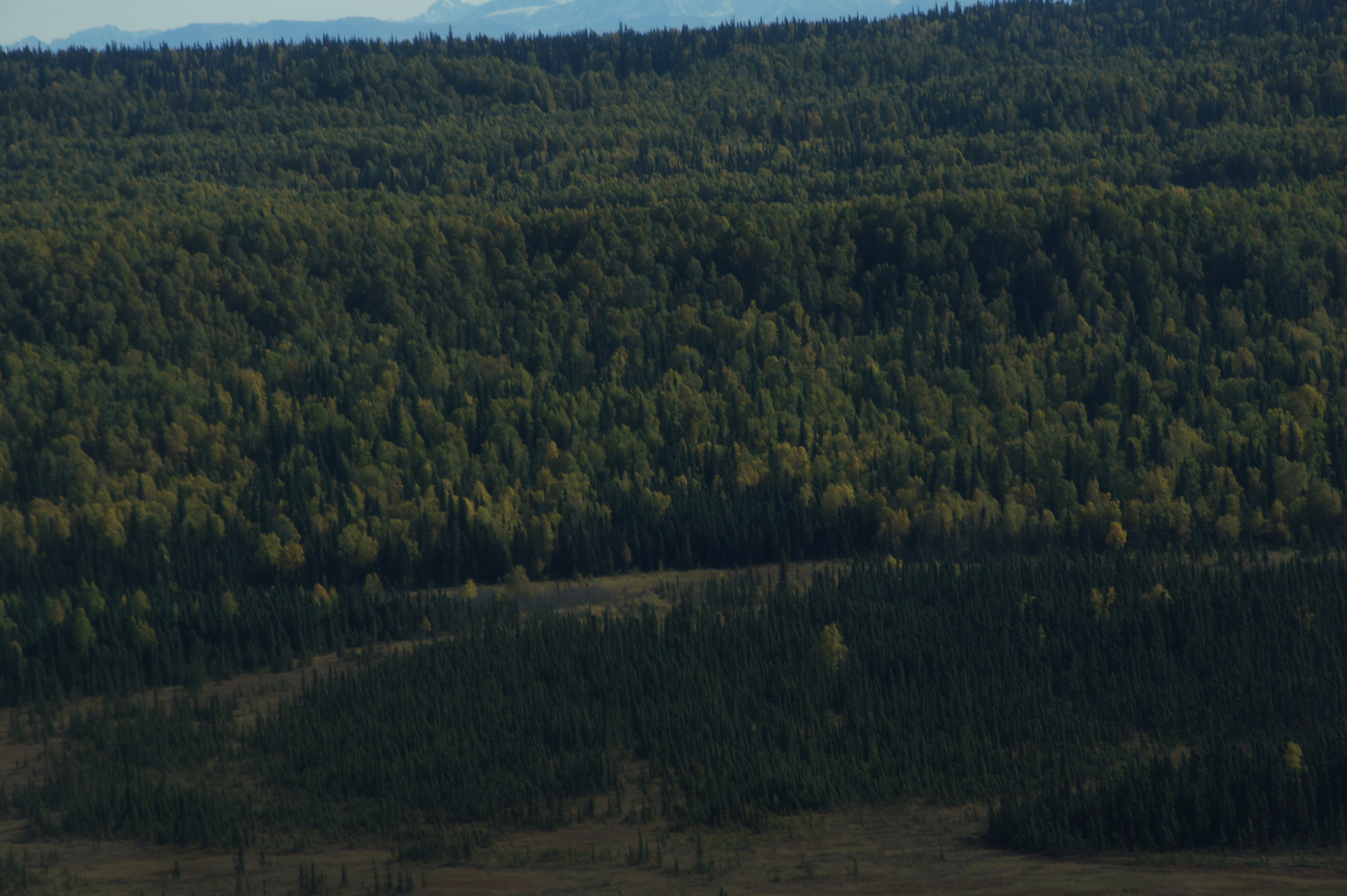 Click to return to the thumbnail index